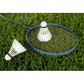 Badminton