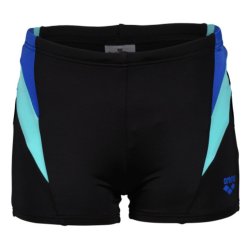 Arena Swim Short Panel Brn