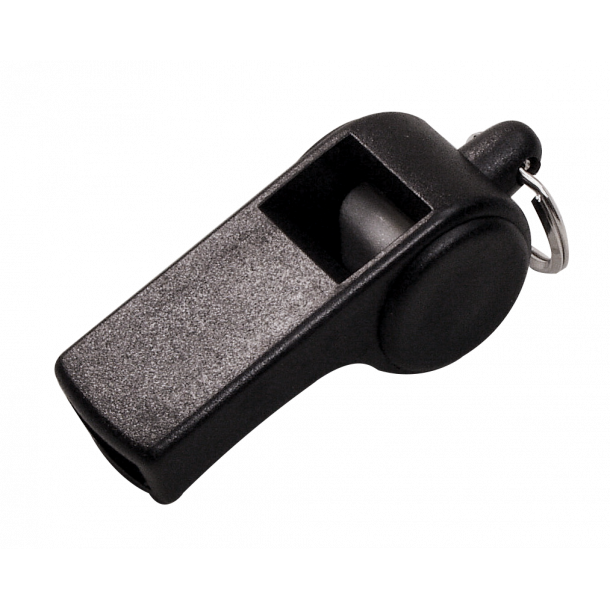 Dommerfljte Viking Sound